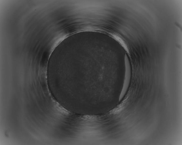 X0000091930954200710031056