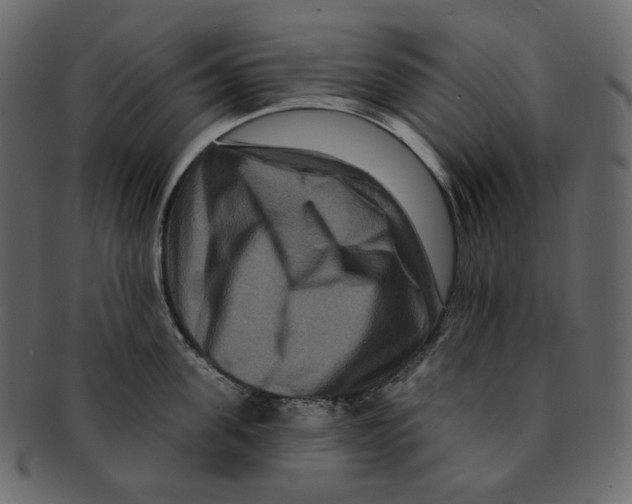 X0000091930955200710031056