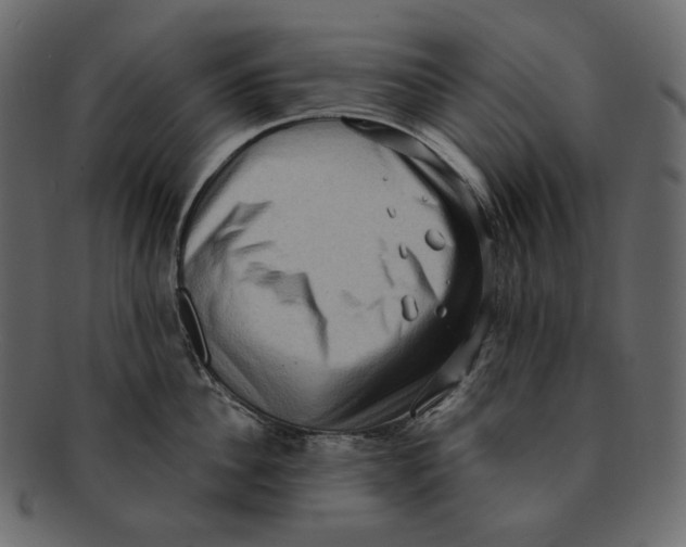 X0000091930956200710031056