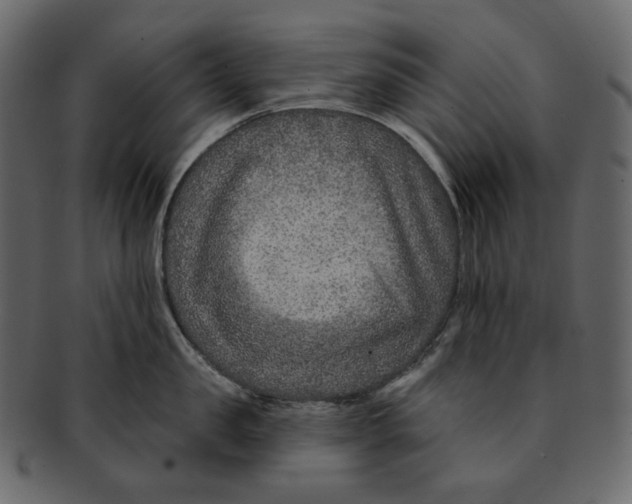 X0000091930957200710031056