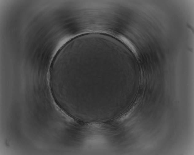 X0000091930958200710031056