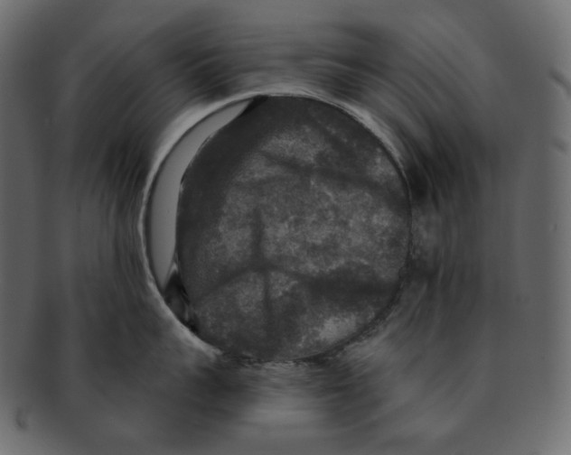 X0000091930959200710031056