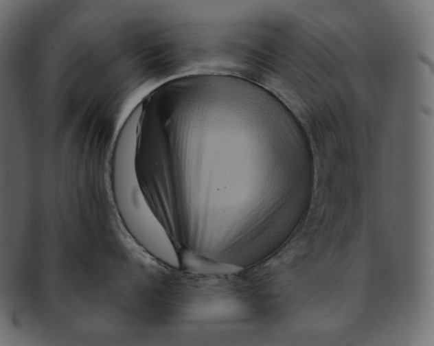 X0000091930960200710031056