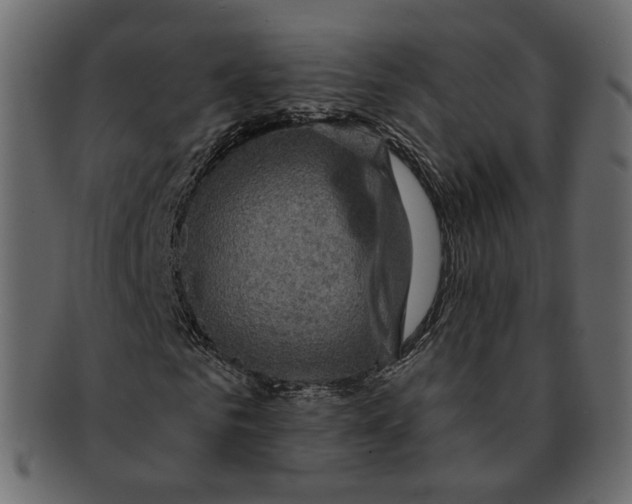 X0000091930961200710031056