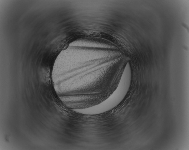 X0000091930963200710031056