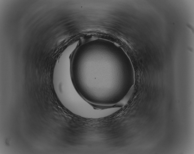 X0000091930965200710031056