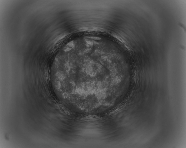 X0000091930966200710031056