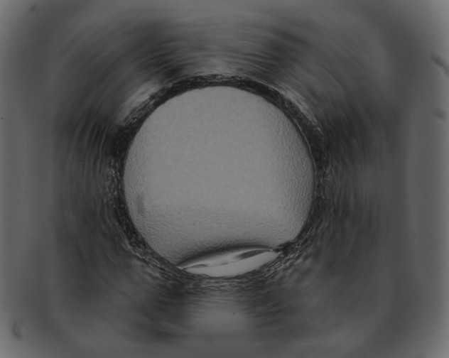 X0000091930967200710031056