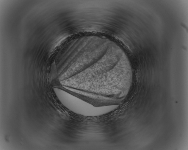 X0000091930968200710031056