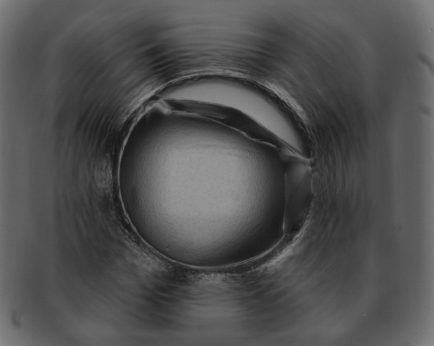 X0000091930969200710031056