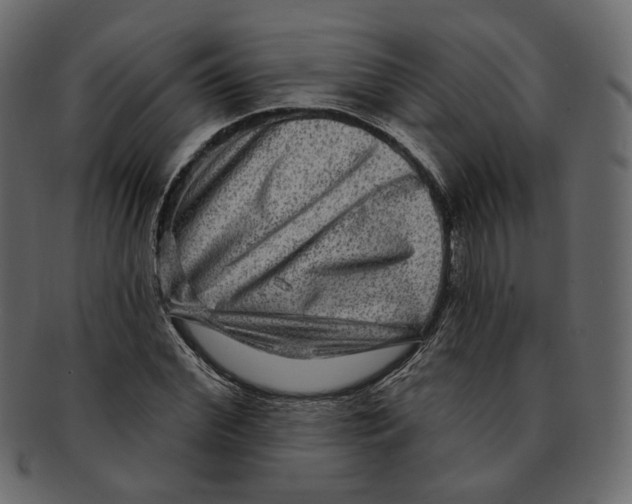 X0000091930972200710031056