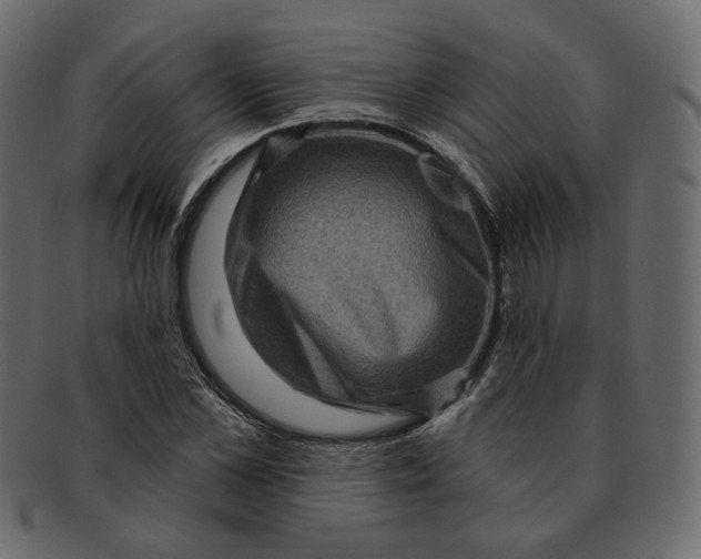 X0000091930973200710031055