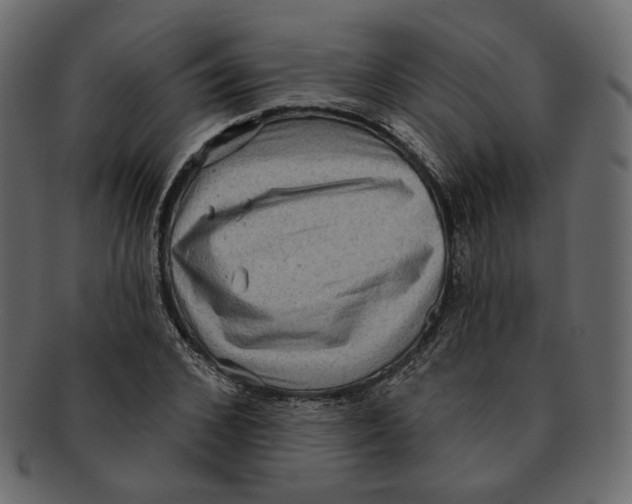 X0000091930976200710031055