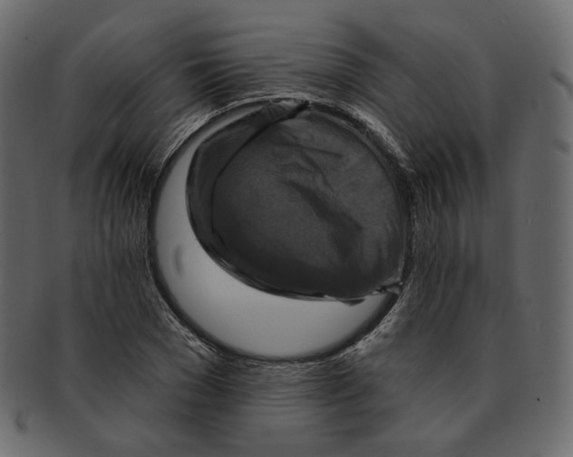 X0000091930977200710031055