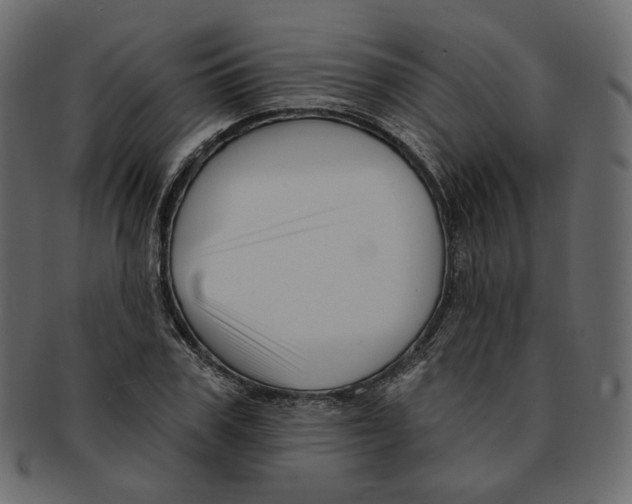 X0000091930979200710031055