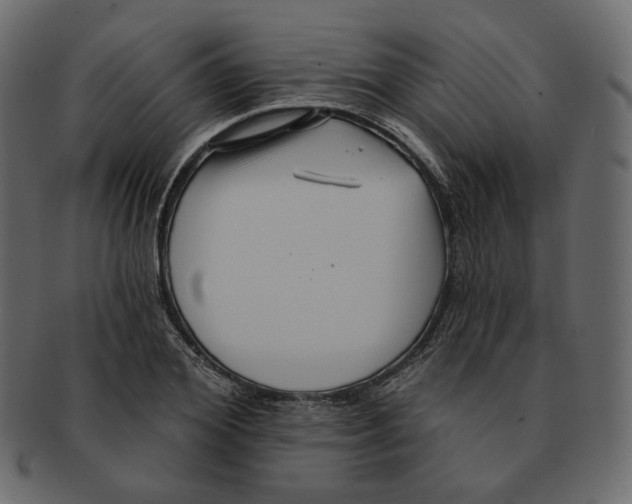 X0000091930980200710031055