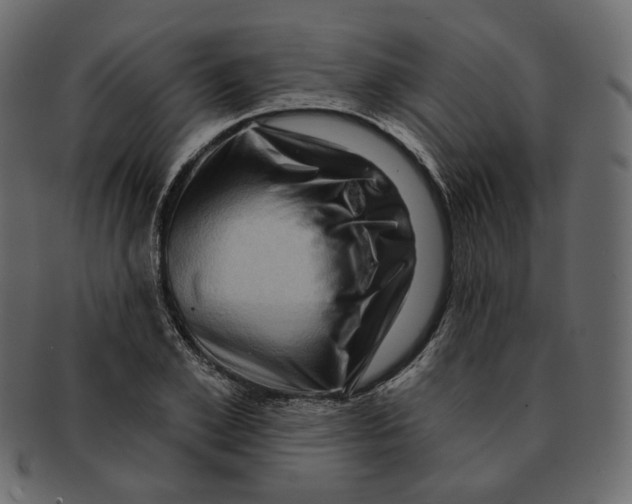 X0000091930981200710031055