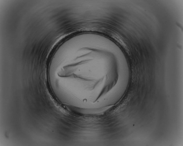 X0000091930984200710031055