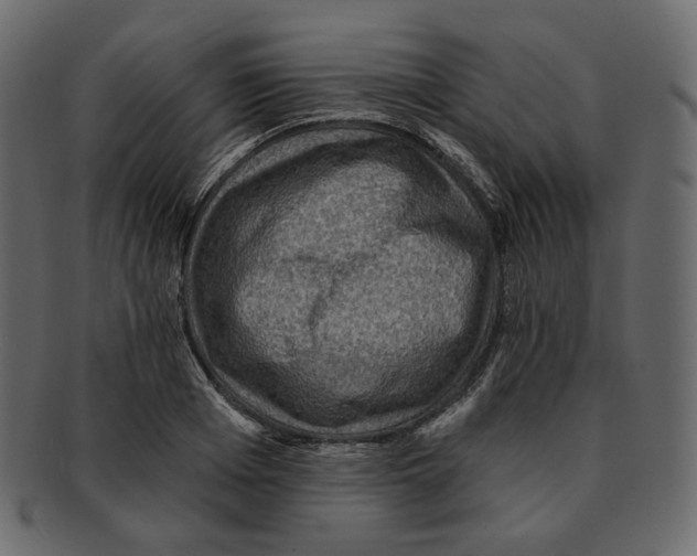 X0000091930985200710031055