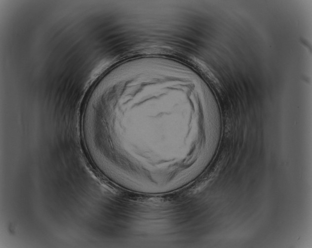 X0000091930986200710031055