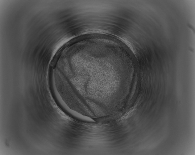 X0000091930987200710031055