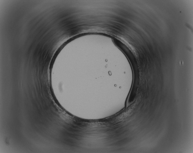 X0000091930988200710031055