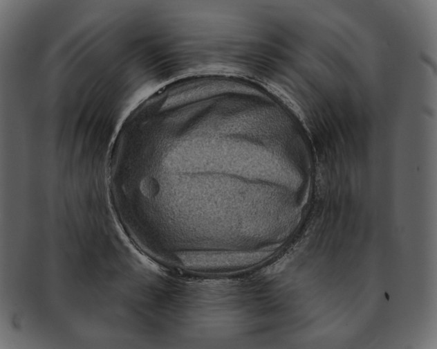 X0000091930989200710031055