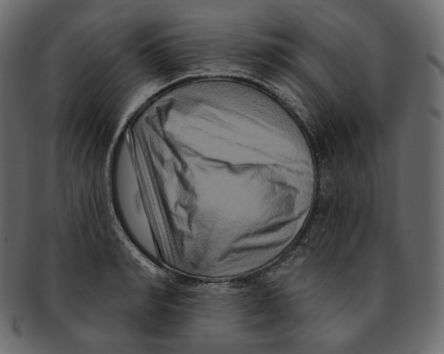 X0000091930990200710031055