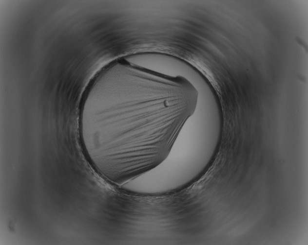 X0000091930992200710031055