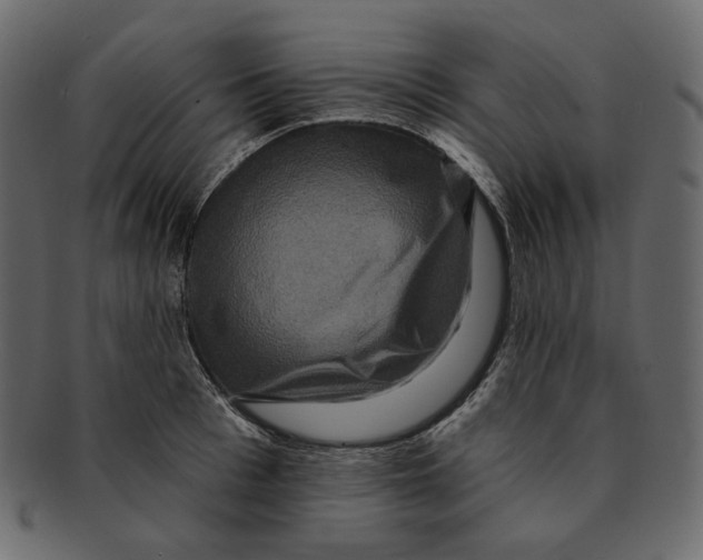 X0000091930993200710031055