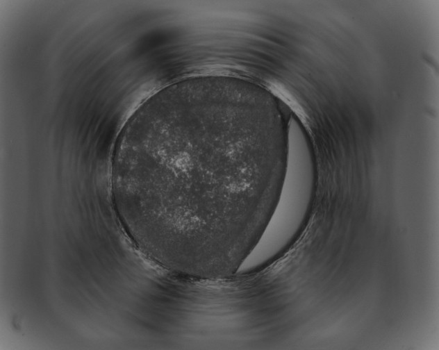 X0000091930994200710031055