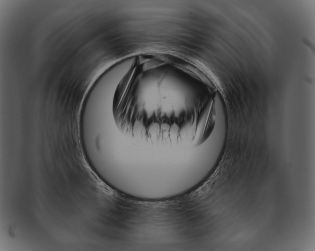 X0000091930996200710031055