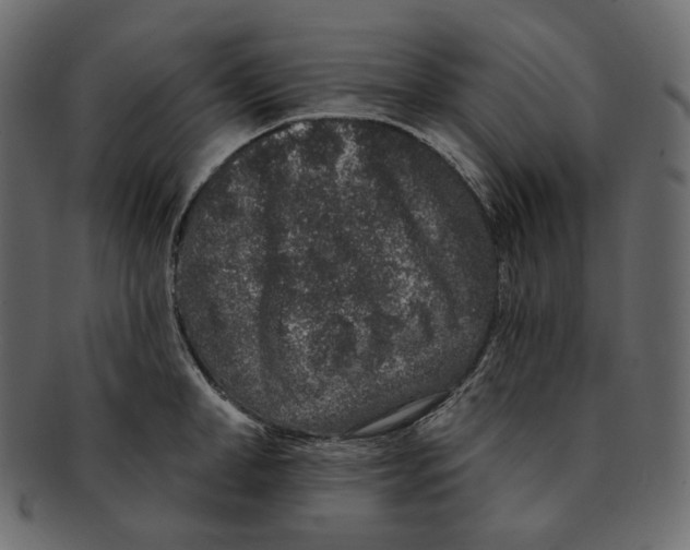 X0000091930998200710031055