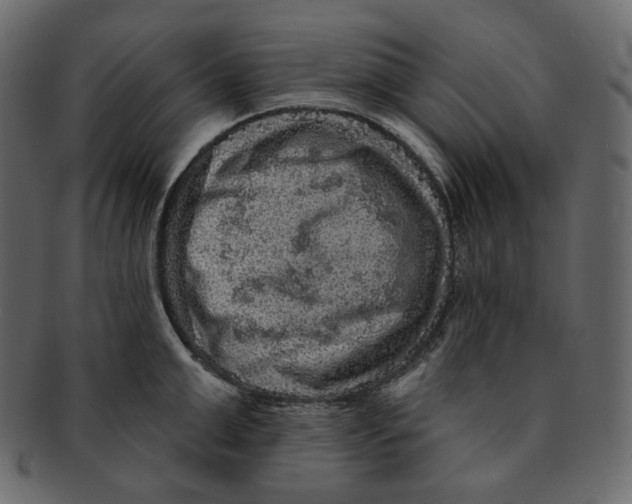 X0000091930999200710031055