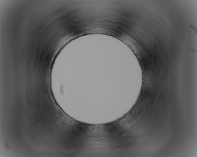 X0000091931000200710031055