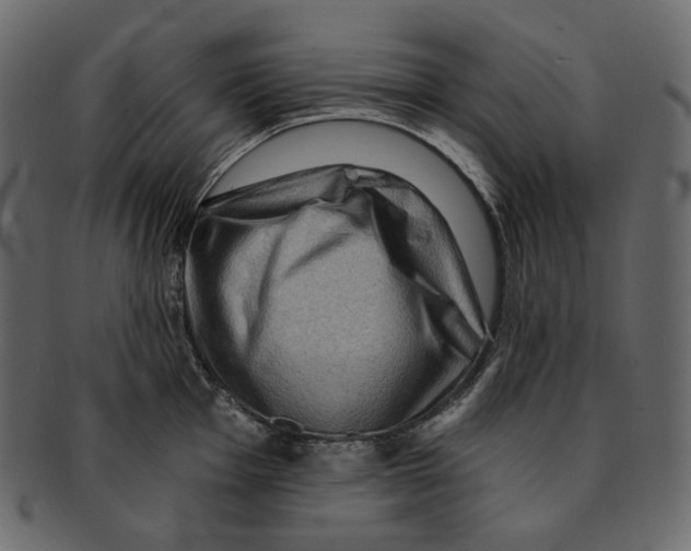 X0000091931001200710031055