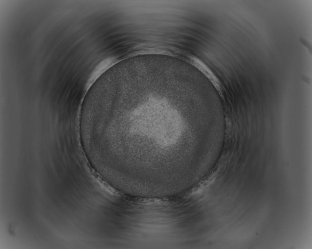 X0000091931002200710031055