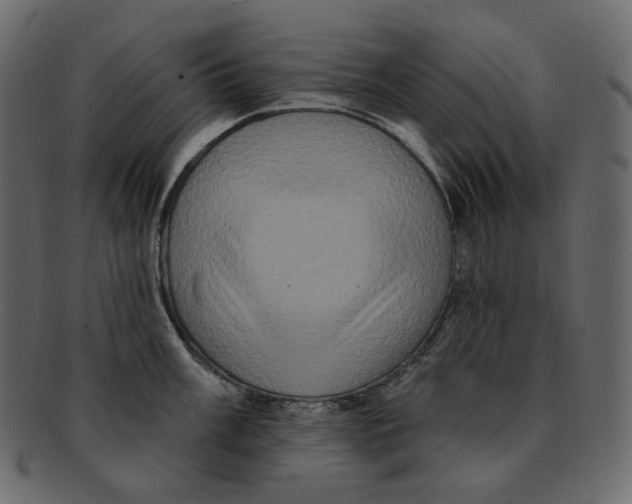 X0000091931003200710031055