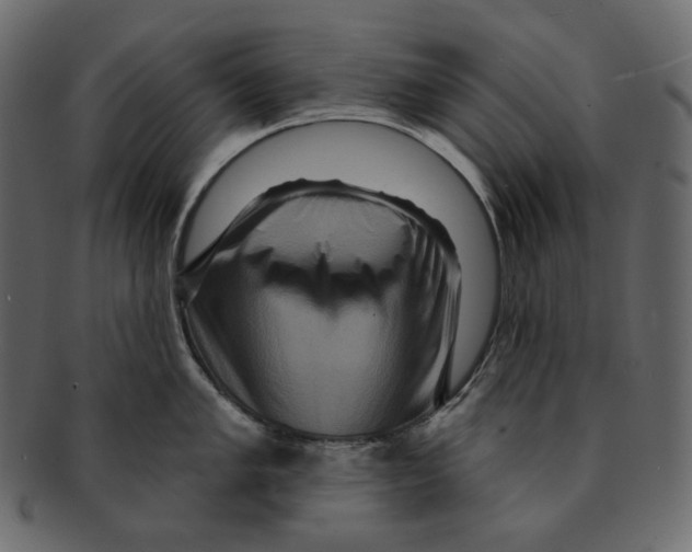 X0000091931005200710031055