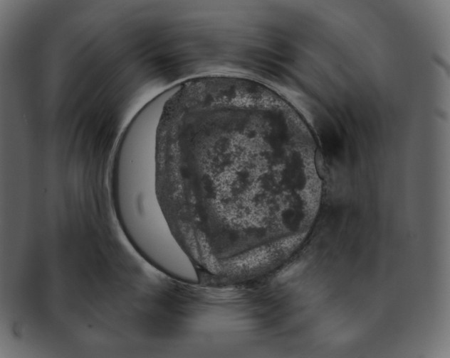 X0000091931007200710031055