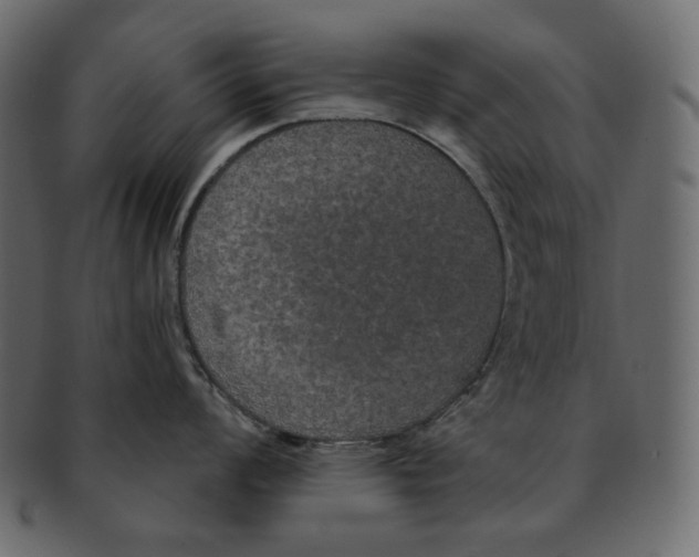 X0000091931008200710031055