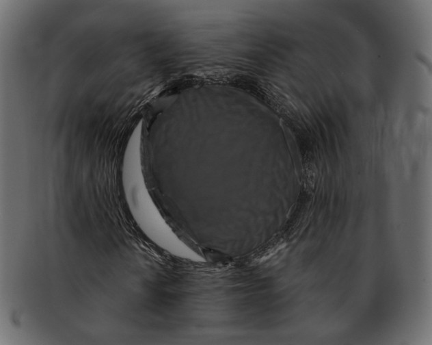 X0000091931010200710031055