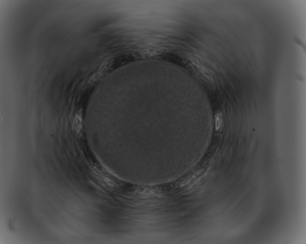 X0000091931011200710031055