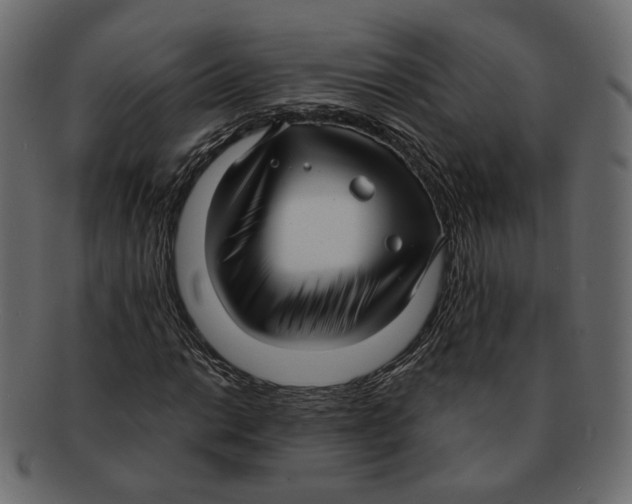 X0000091931014200710031055