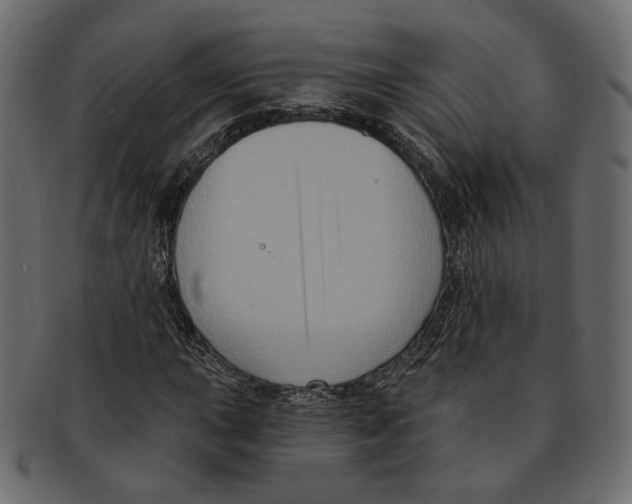 X0000091931015200710031055