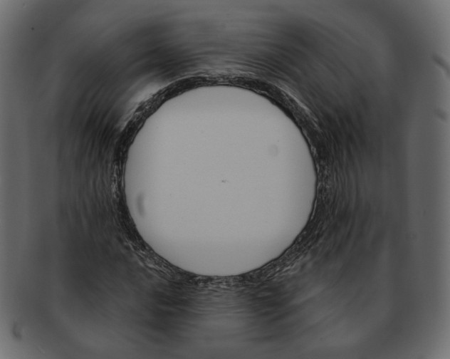 X0000091931016200710031055