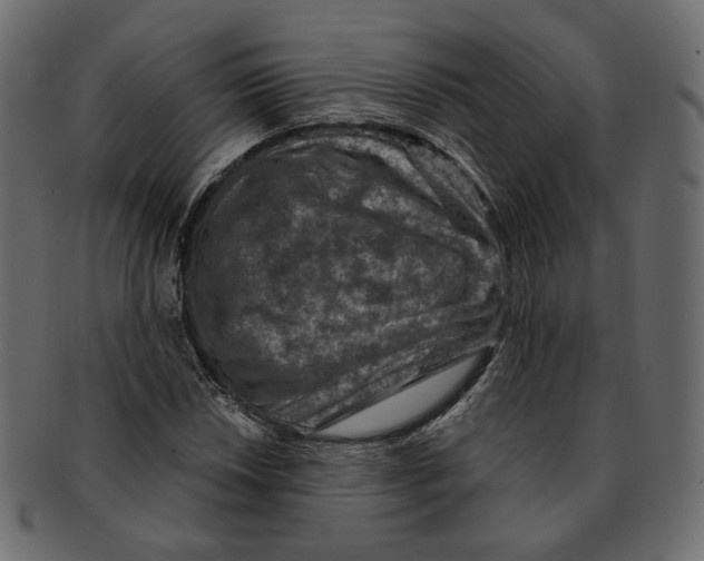 X0000091931018200710031055