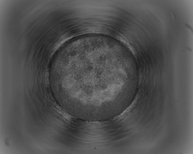 X0000091931019200710031055