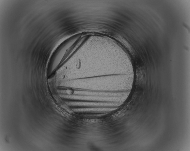 X0000091931020200710031055