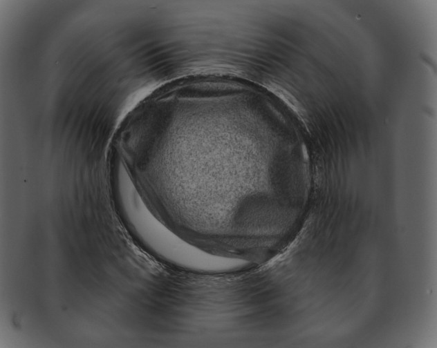 X0000091931022200710031055